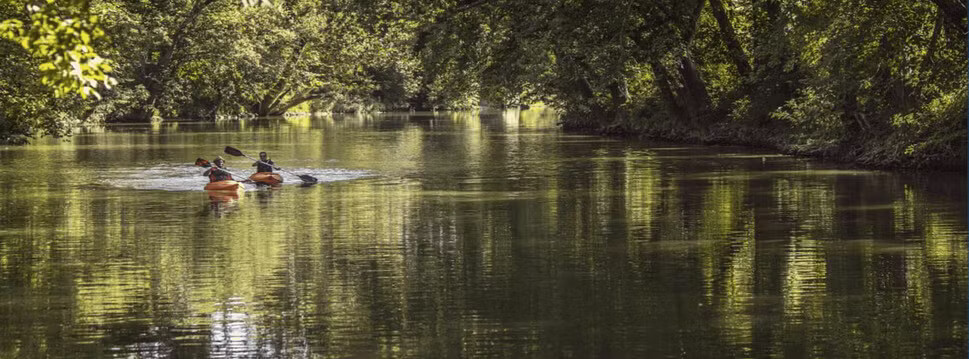 Metropolitan Sewer District Case Study